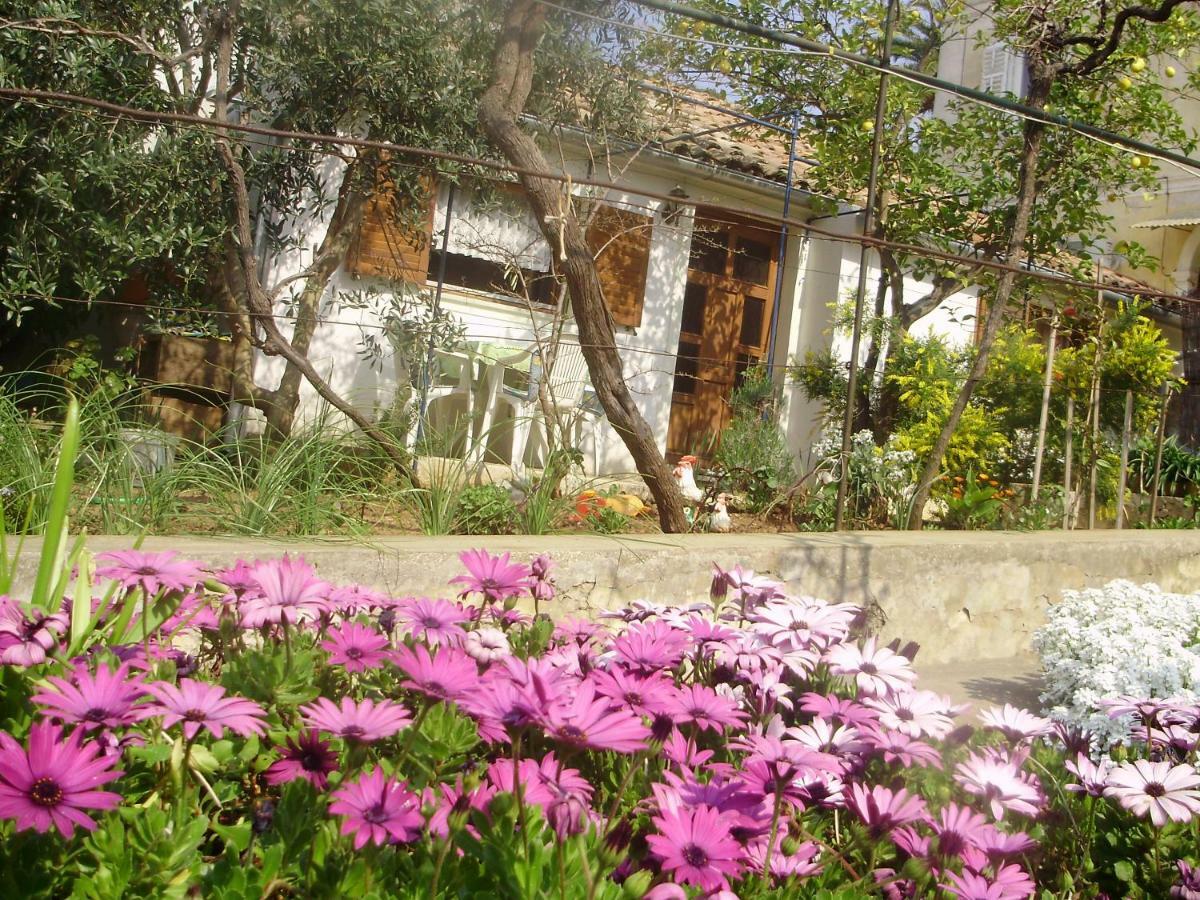 Apartman Kristina And Free Parking 말리로시니 외부 사진